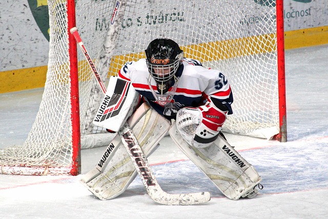 新的设施带 新的设施带