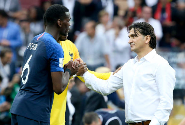 尔图的故事 尔图的故事